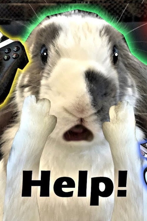 Rabbit Home Alone poster