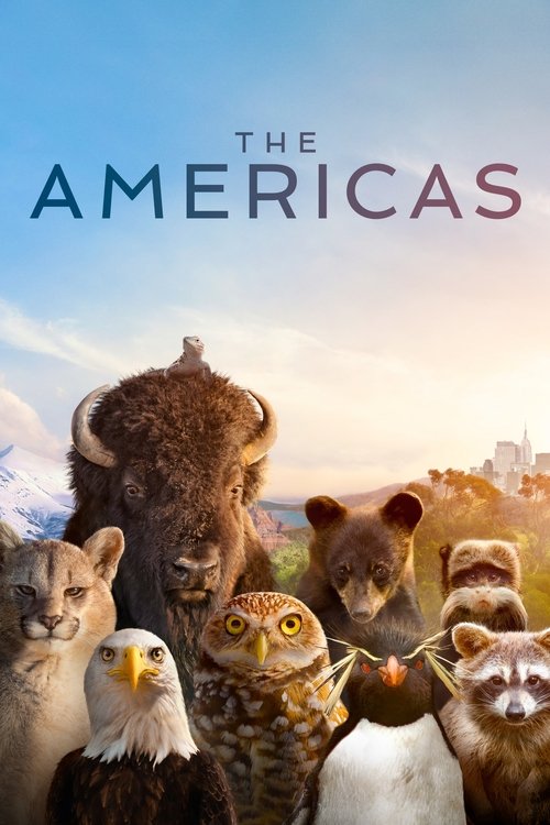 The Americas poster