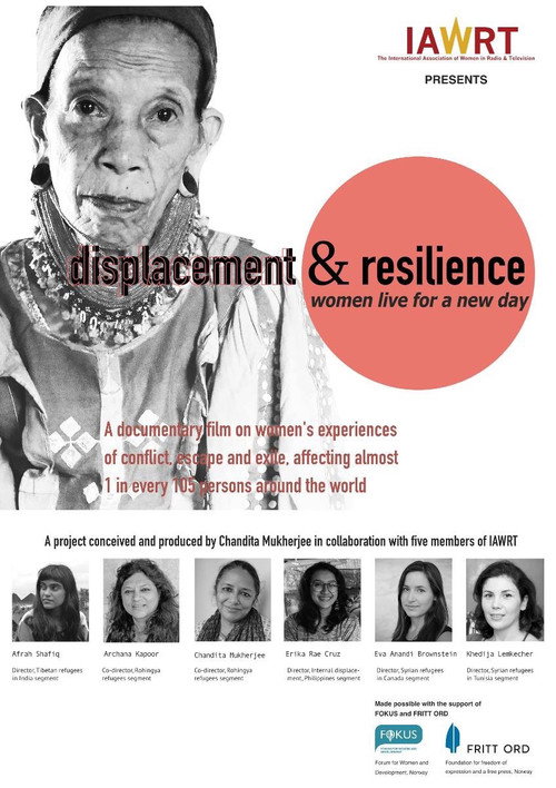 Displacement and Resilience poster