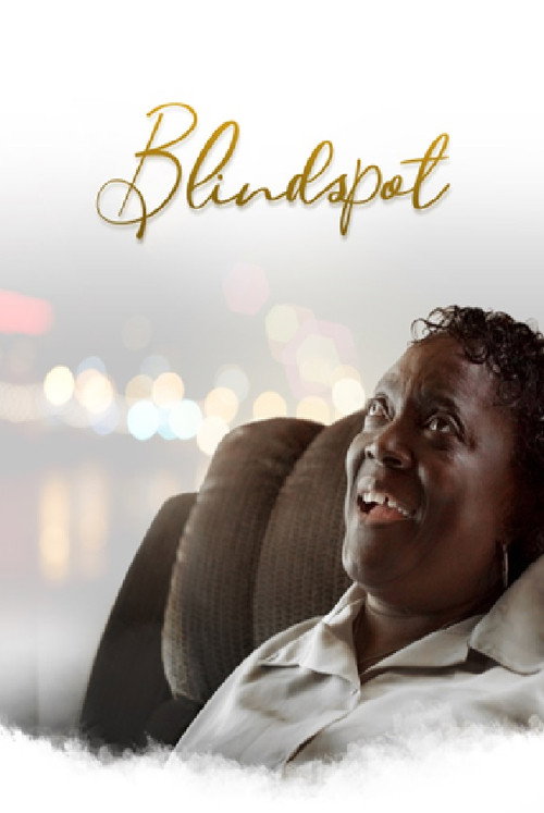 Blindspot poster