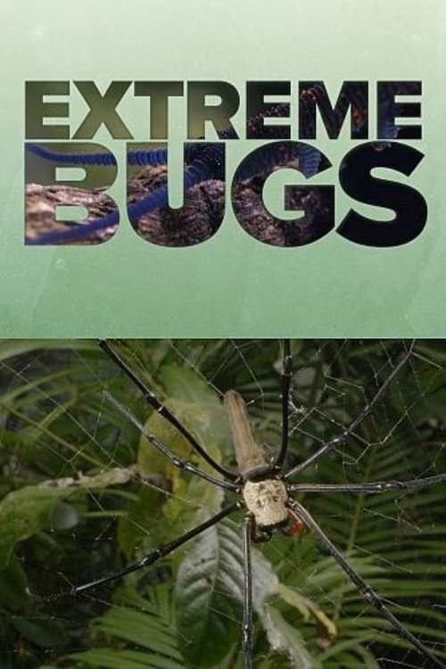 Extreme Bugs poster