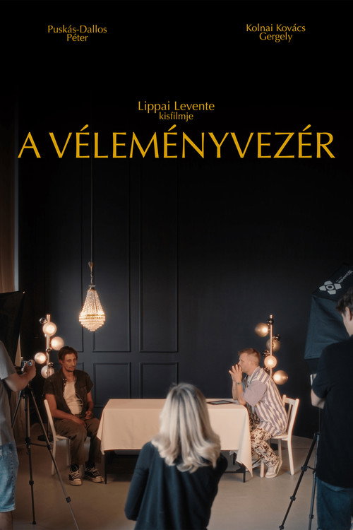 The Influencer poster