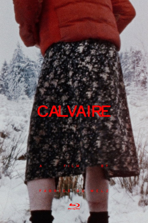Calvaire poster
