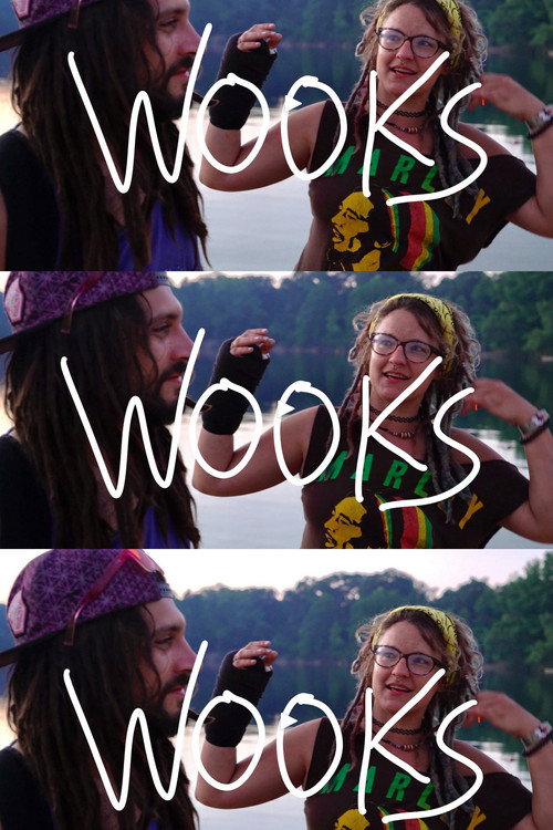 Wooks poster