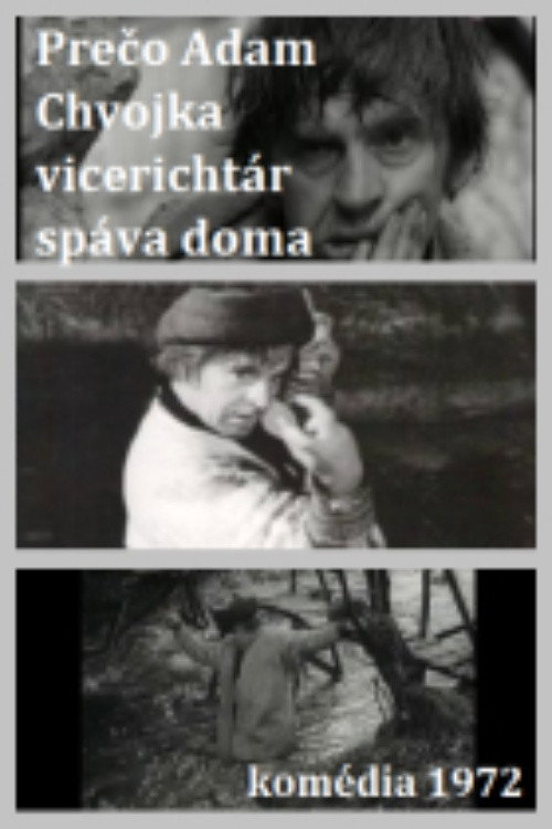 Adam Chvojka vicerichtár poster