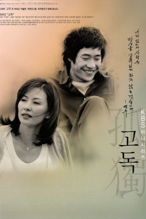 고독 poster