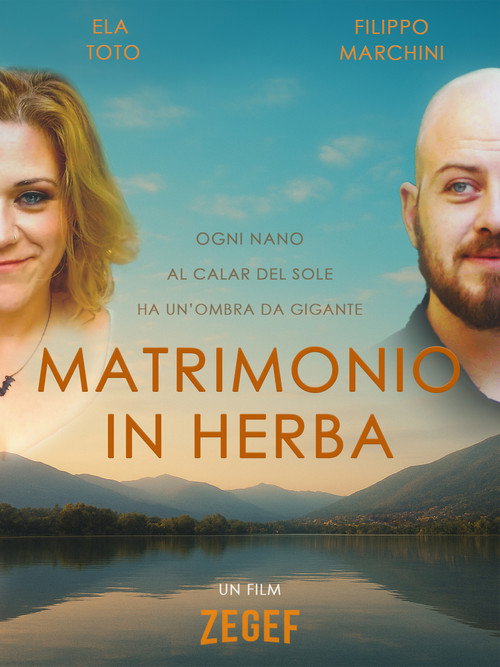 Marriage in the Making poster