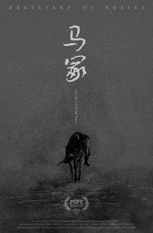 Graveyard of Horses poster