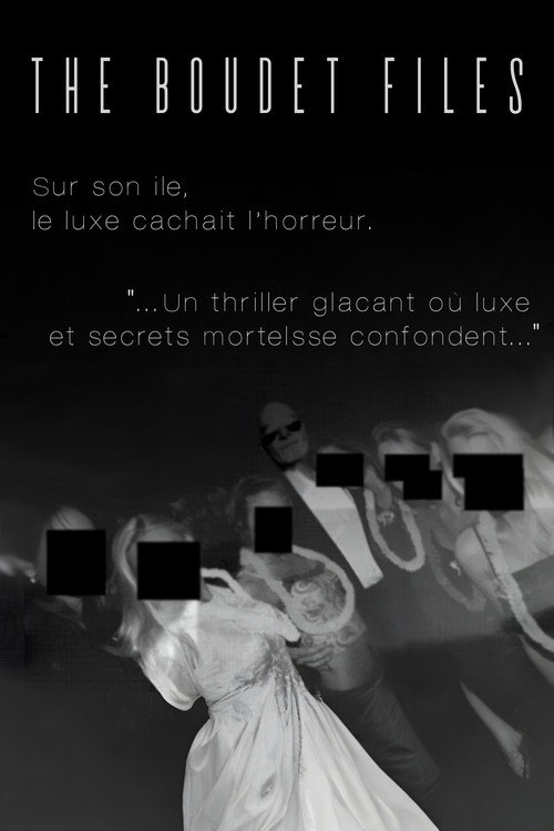 The Boudet Files poster