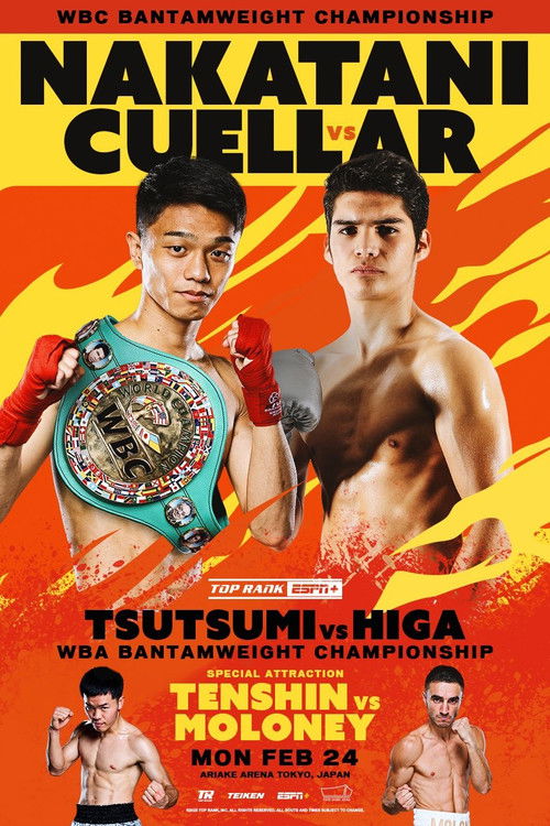 PRIME VIDEO BOXING 11 poster