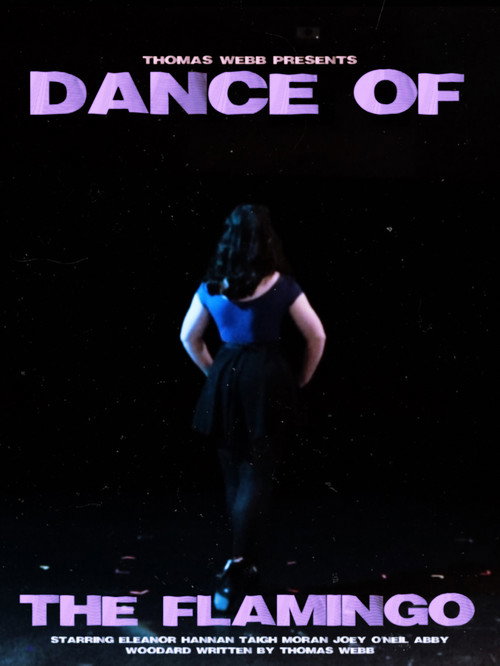 Dance of the Flamingo poster