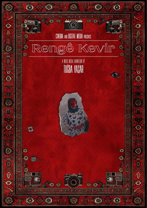 Color of the Stone poster