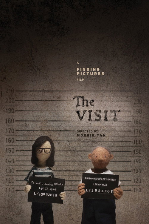 The Visit poster
