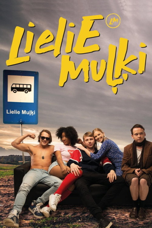 Big Fools poster