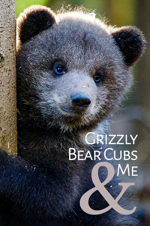 Grizzly Bear Cubs and Me poster