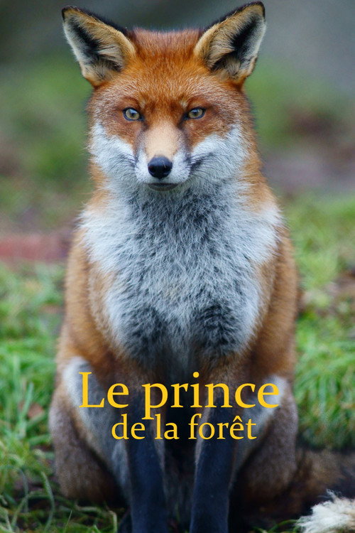 The Prince of the Forest poster