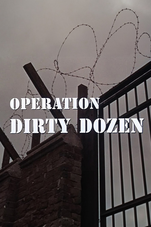 Operation Dirty Dozen poster