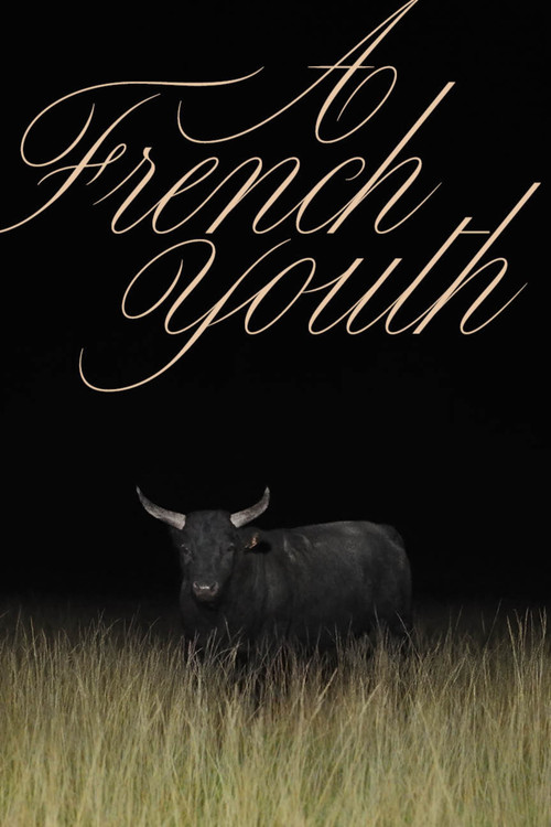 A French Youth poster