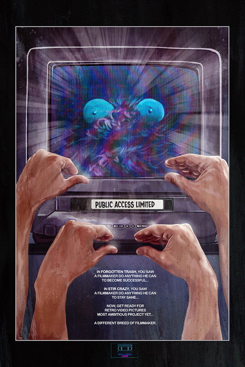 Public Access Limited poster