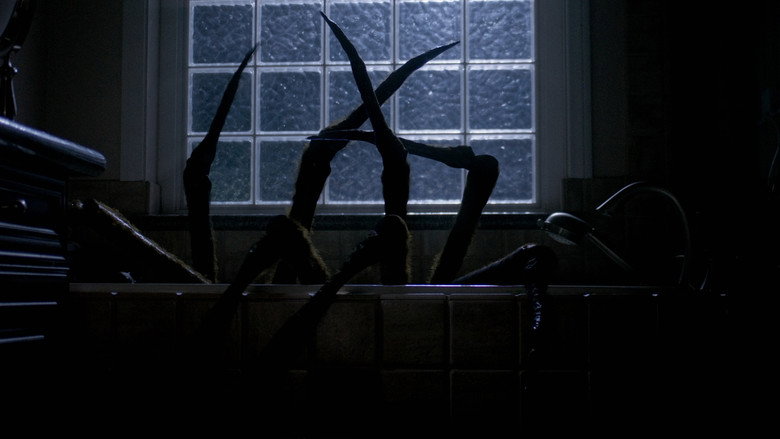 Night Spider still 1