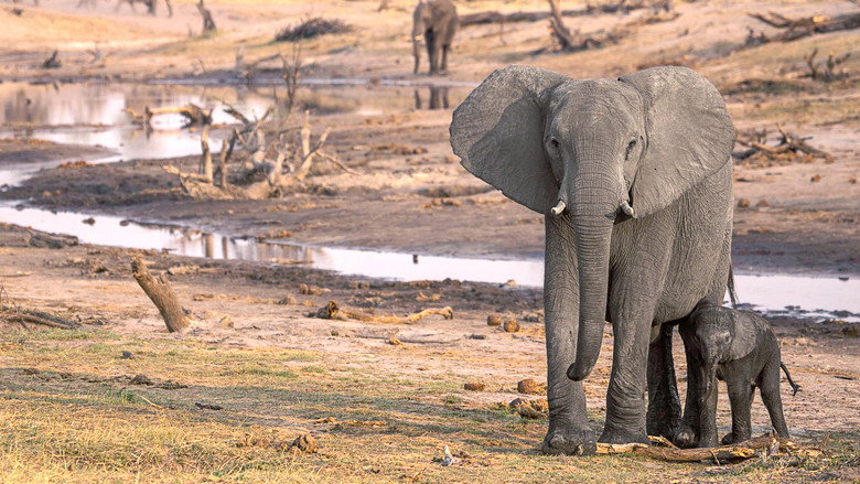 Botswana still 2