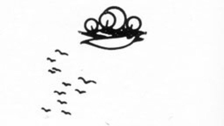 Gô among the birds still 1
