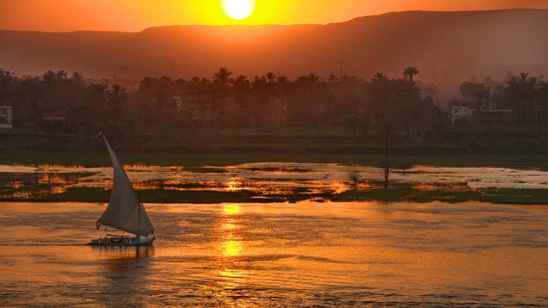 Wild Nile still 1