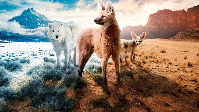Dogs in the Wild: Meet the Family still 1
