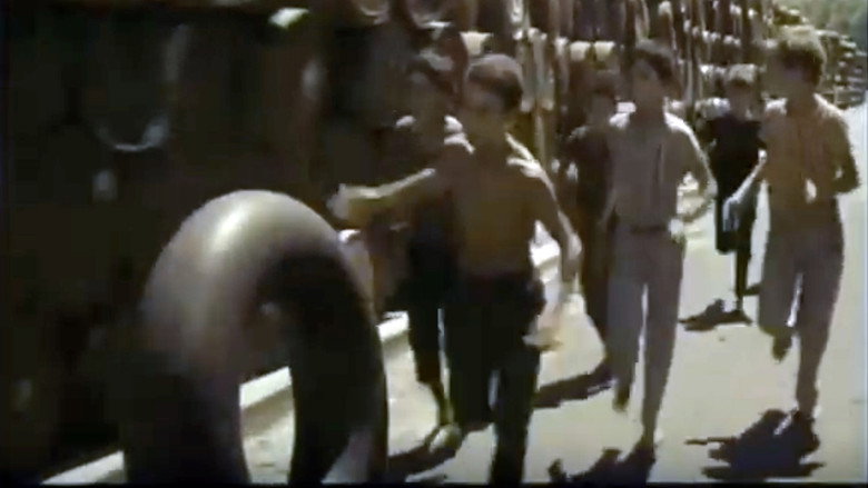 Les Moineaux d'Algérie still 1