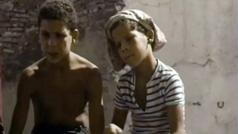 Les Moineaux d'Algérie still 7