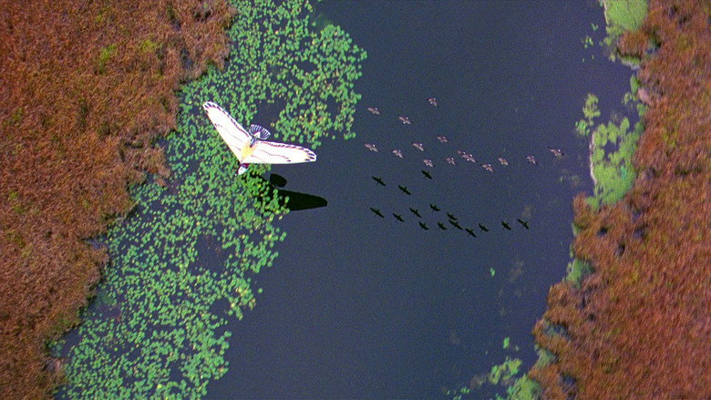 Fly Away Home still 8