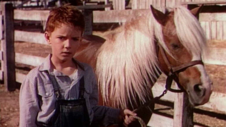 The Red Pony still 7