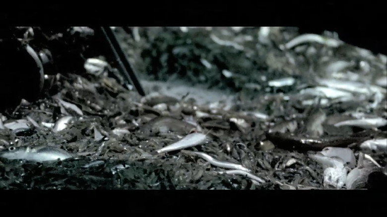 Nachtwake still 1