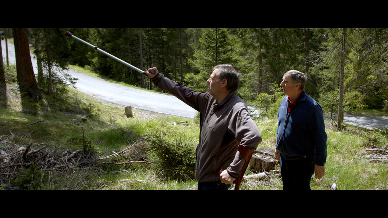 Herbstfeuer still 1