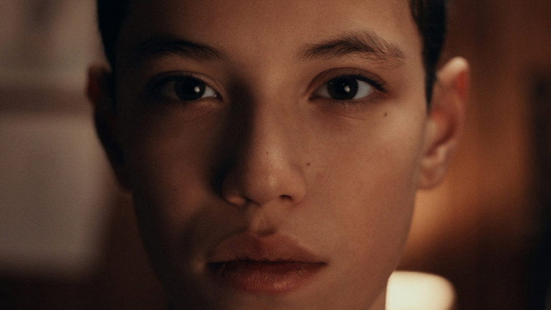 Wonder still 1