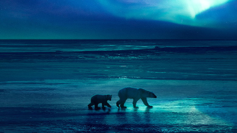 Frozen Planet II still 6