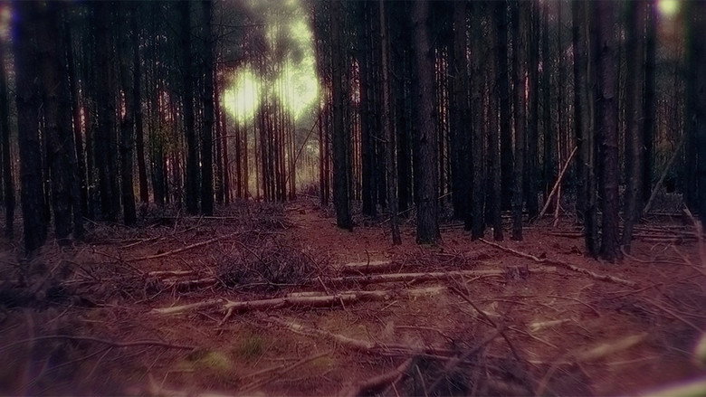Shallow Grave still 1