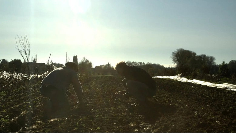 ZUT – Zones Urgentes à Transformer still 7