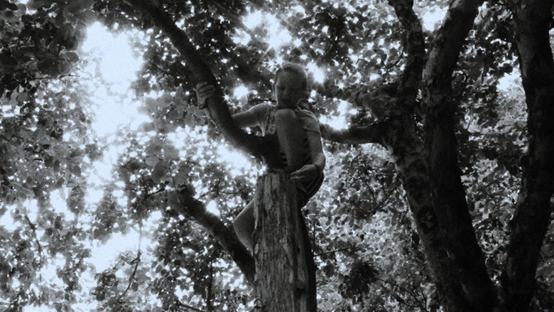 Oat Boy still 1