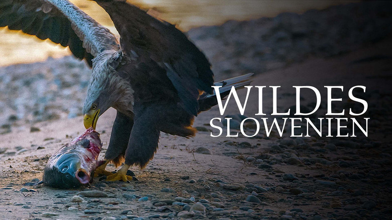 Wild Slovenia still 3