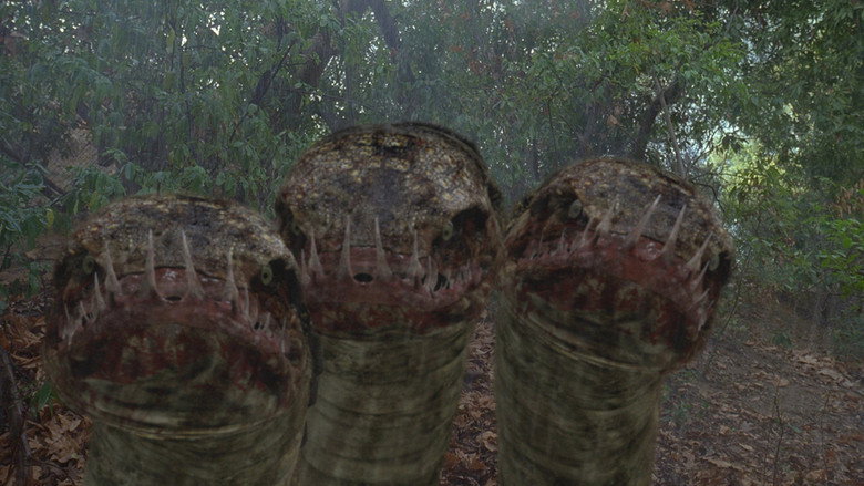 Hydra still 5