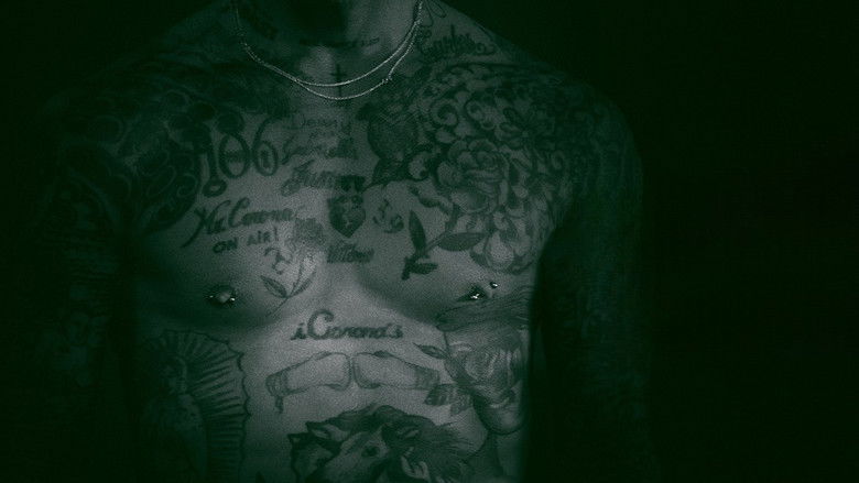 Paparazzi King still 1