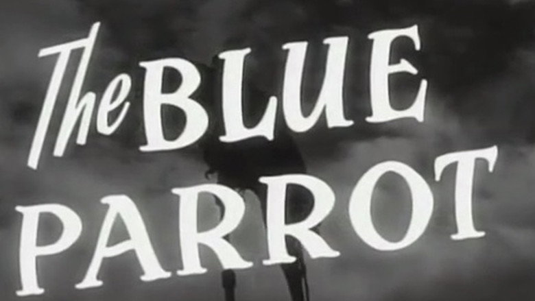 The Blue Parrot still 4