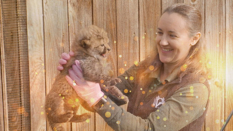 Secrets of the Zoo still 7