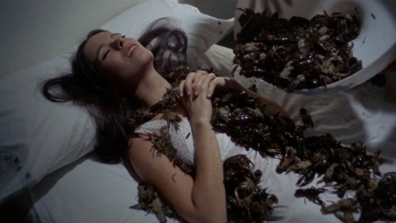 Honeycomb still 8