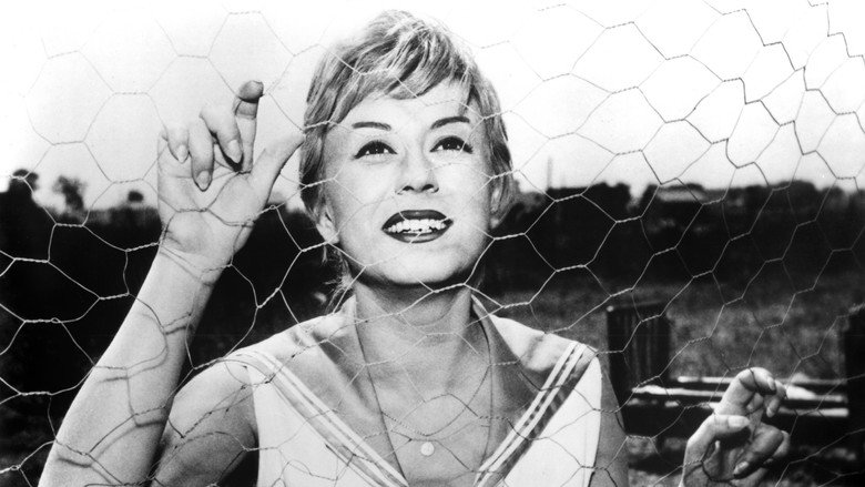 Nights of Cabiria still 7