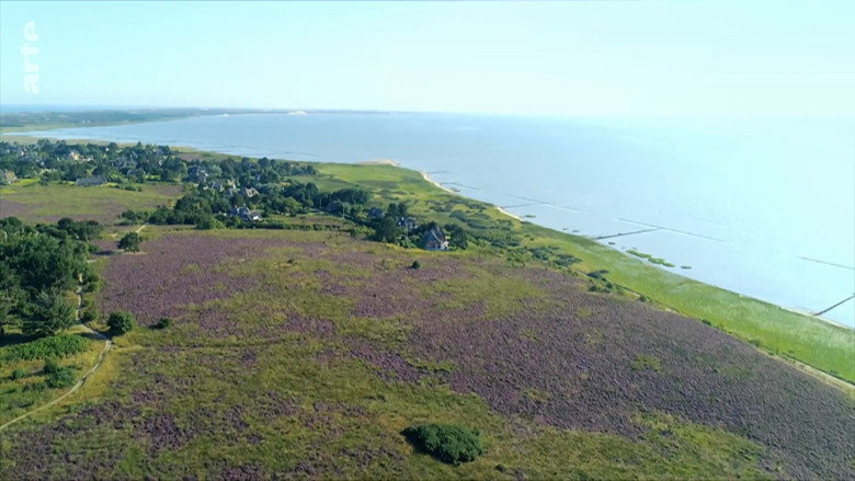 Sylt - Wellen, Wind und Watt still 5