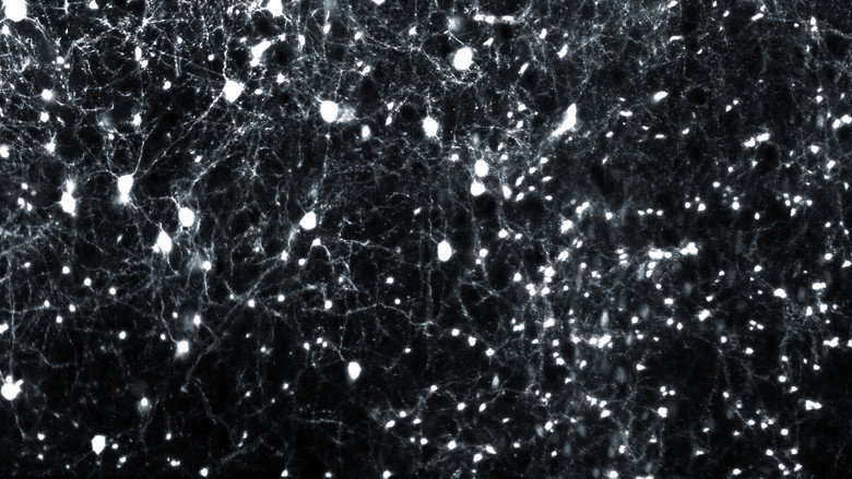 Movements arising from different relationships - Between regularity and irregularity II still 5