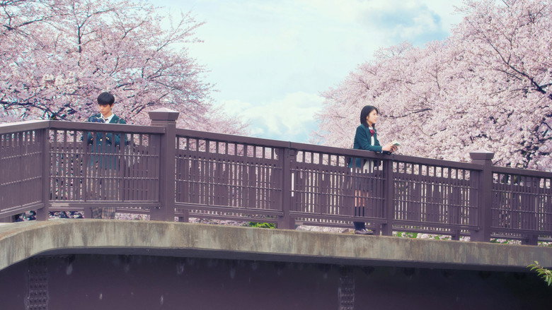 Let Me Eat Your Pancreas still 2