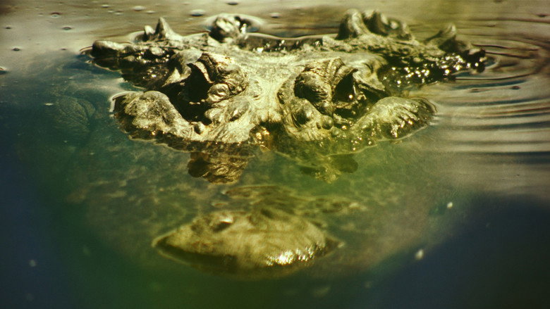 Gatorville still 1